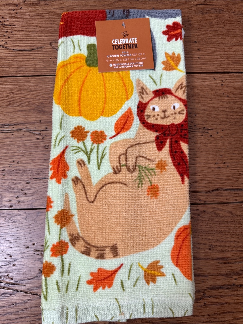 Celebrate Together Fall Kitchen Towels Set - Orange Pumpkin & Cat